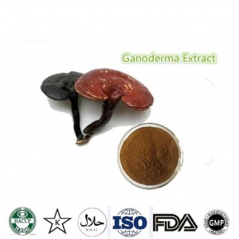 Ganoderma Extract