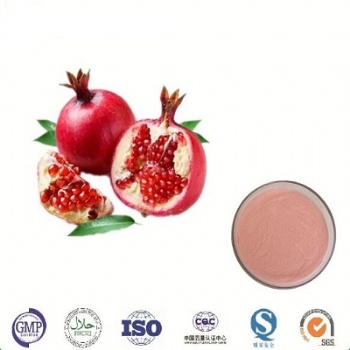 punica granatum extract powder