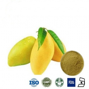 Mango extract power