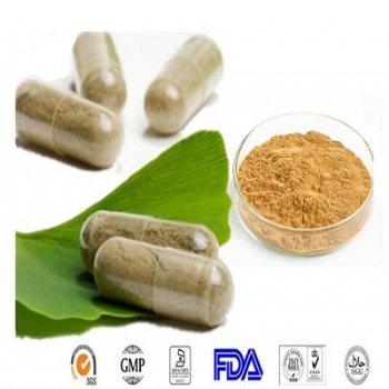 Ginkgo Biloba Extract Powder