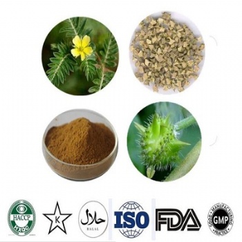 Tribulus terrestris extract