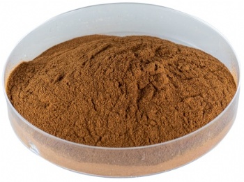 Organic ginger root extract powder Gingerols for Hair Growth