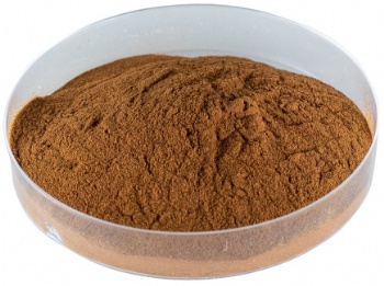  Organic ginger root extract powder Gingerols for Hair Growth	