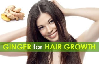  Organic ginger root extract powder Gingerols for Hair Growth	