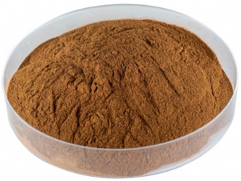 Organic burdock root extract powder for Hair Growth
