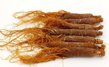  Professional Factory Supply Korean Red Ginseng Root Extract	