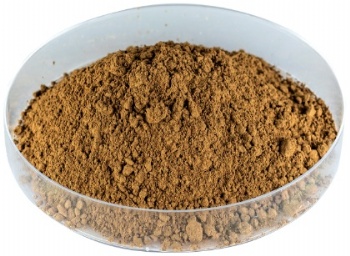 Free Sample Organic Lion's Mane Mushroom Extract Powder Polysaccharide