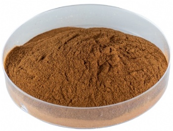 Organic Powder Ginkgo Leaves Biloba Extract
