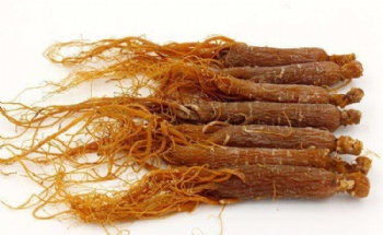  Organic Panax Ginseng Extract with 80% Ginsenosides,	