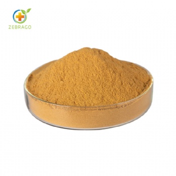 Erigeron Breviscapus Extract