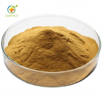 Rhizoma Coptidis extract