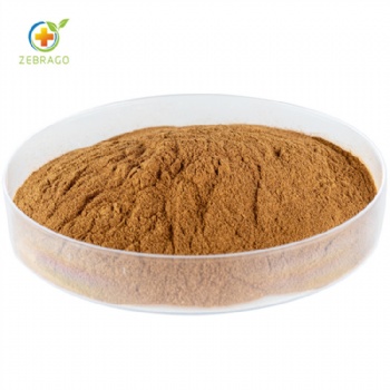 Ginkgo biloba leaves extract