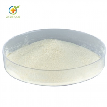 Elastin Protein Powder