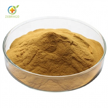 Salvia miltiorrhiza extract