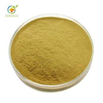 Rhizoma Anemarrhenae extract