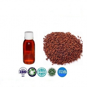 seabuckthorn seed oil